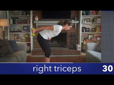 knep video